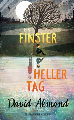 Ein finsterheller Tag - Almond, David