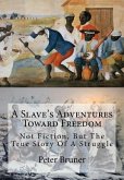 A Slave's Adventures Toward Freedom: Not Fiction, But The True Story Of A Struggle