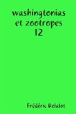 washingtonias et zootropes 12