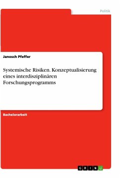 Systemische Risiken. Konzeptualisierung eines interdisziplinären Forschungsprogramms - Pfeffer, Janosch