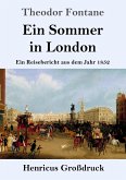 Ein Sommer in London (Großdruck)