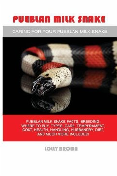 Pueblan Milk Snake: Pueblan Milk Snake facts, breeding, where to buy, types, care, temperament, cost, health, handling, husbandry, diet, a - Brown, Lolly