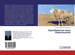 Edilbajskaq owca Narynkumow