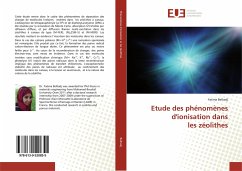 Etude des phénomènes d'ionisation dans les zéolithes - Belhadj, Fatima