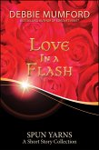 Love in a Flash (eBook, ePUB)