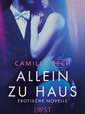 Allein zu Haus - Erotische Novelle (eBook, ePUB)