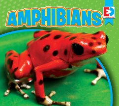 Amphibians (eBook, PDF) - Koran, Maria