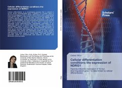 Cellular differentiation conditions the expression of NDRG1 - Tiffon, Céline