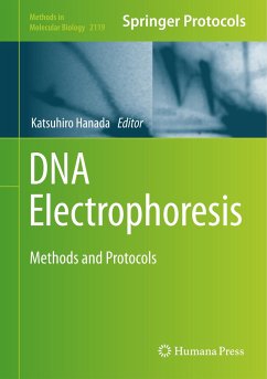 DNA Electrophoresis