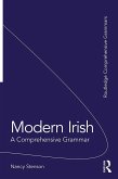 Modern Irish (eBook, ePUB)