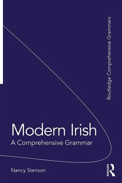 Modern Irish (eBook, PDF) - Stenson, Nancy