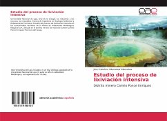 Estudio del proceso de lixiviación intensiva - Villamahua Villamahua, Jhon Cristoforo