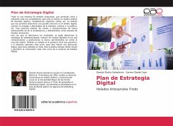 Plan de Estrategia Digital