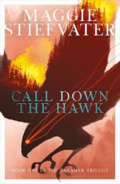 The Dreamer Trilogy 1. Call Down the Hawk - Stiefvater, Maggie