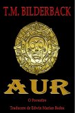 Aur - O Povestire (eBook, ePUB)