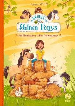 Ein Heuhaufen voller Geheimnisse / Die Schule der kleinen Ponys Bd.1 - Wolff, Anne