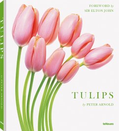 Tulips, small edition - Arnold, Peter