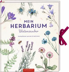Mein Herbarium: Blütenzauber - Zysk, Stefanie