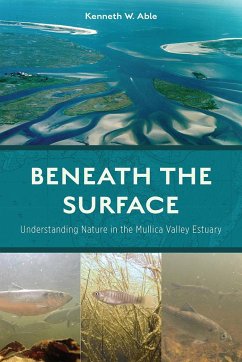 Beneath the Surface - Able, Kenneth W