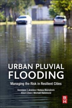 Urban Pluvial Flooding - Aronica, Giuseppe T; Manojlovic, Natasa; Hammond, Michael; Chen, Albert