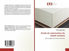 Etude de valorisation du cobalt contenu - Ilunga Sendele, Cédrick;KONGOLO KITALA, Pierre