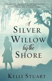 A Silver Willow by the Shore