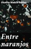 Entre naranjos (eBook, ePUB)