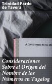 Consideraciones Sobre el Origen del Nombre de los Números en Tagalog (eBook, ePUB)