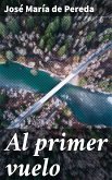 Al primer vuelo (eBook, ePUB)