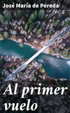 Al primer vuelo (eBook, ePUB) - Pereda, José María de