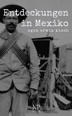 Entdeckungen in Mexiko (eBook, ePUB)
