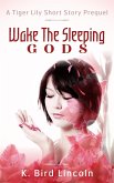 Wake the Sleeping Gods: Tiger Lily prequel short story (eBook, ePUB)
