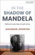 In The Shadow of Mandela (eBook, PDF) - Bild 1