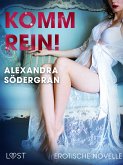 Komm rein! Erotische Novelle (eBook, ePUB)