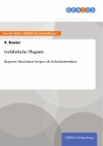 Gefährliche Plagiate (eBook, PDF)