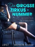 Die große Zirkusnummer - Erotische Novelle (eBook, ePUB)