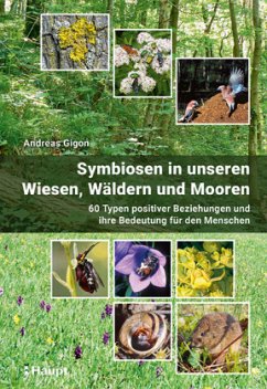 Symbiosen in unseren Wiesen, Wäldern und Mooren - Gigon, Andreas