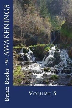 Awakenings: Volume 3 - Bucks, Brian