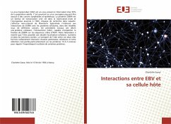Interactions entre EBV et sa cellule hôte - Sueur, Charlotte