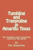 Tumbling and Trampoline in Amarillo Texas: The Tumbling and Trampoline Capital of the World