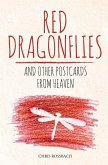 Red Dragonflies and other Postcards from Heaven