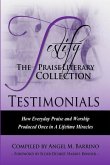 Testify: The Praise Literary Collection: How Everyday Praise and Worship Produced Once in a Lifetime Miracles