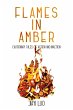 Flames in Amber - Bild 1