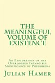 The Meaningful Volume of Existence: An Exploration of the Overlooked Intangible Significance of Phenomena