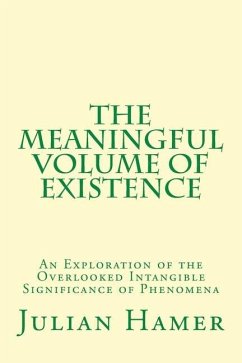 The Meaningful Volume of Existence: An Exploration of the Overlooked Intangible Significance of Phenomena - Hamer, Julian