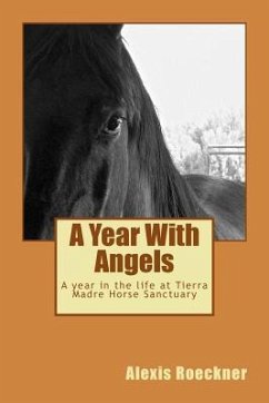 A Year With Angels: A year in the life at Tierra Madre Horse Sanctuary - Roeckner, Alexis