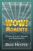 Wow! Moments: Stories of Grace, Wonder, and Synchronicity