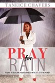 Pray For Rain: Guide to Building Your Business With Little To NO Money