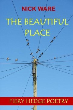 The Beautiful Place - Ware, Nick