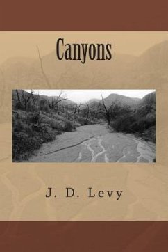 Canyons - Levy, J. D.